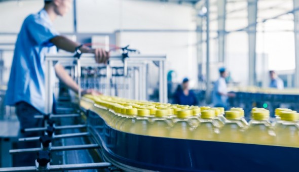Factory Shutterstock